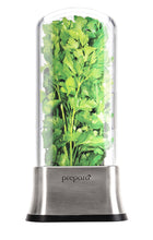 Load image into Gallery viewer, Prepara Stainless Steel Herb Savor (8084971389184)