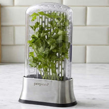 Load image into Gallery viewer, Prepara Stainless Steel Herb Savor (8084971389184)